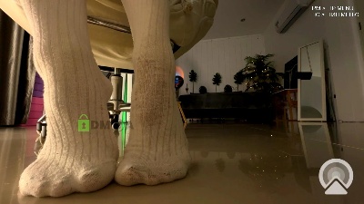 Flexy_Cat from Russia