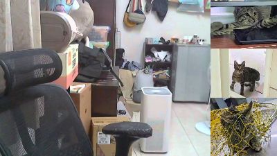 Monster_SSS from Taiwan